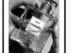 Olanda si Austria escort girl